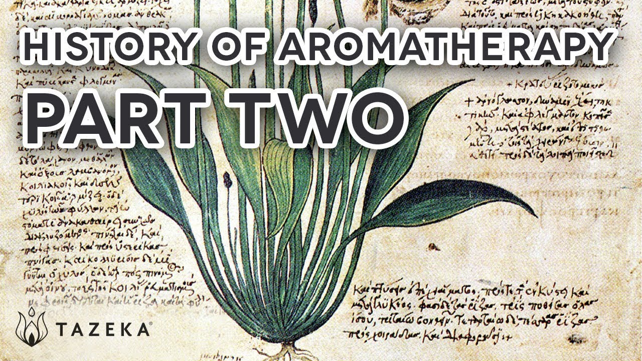 essay on the history of aromatherapy