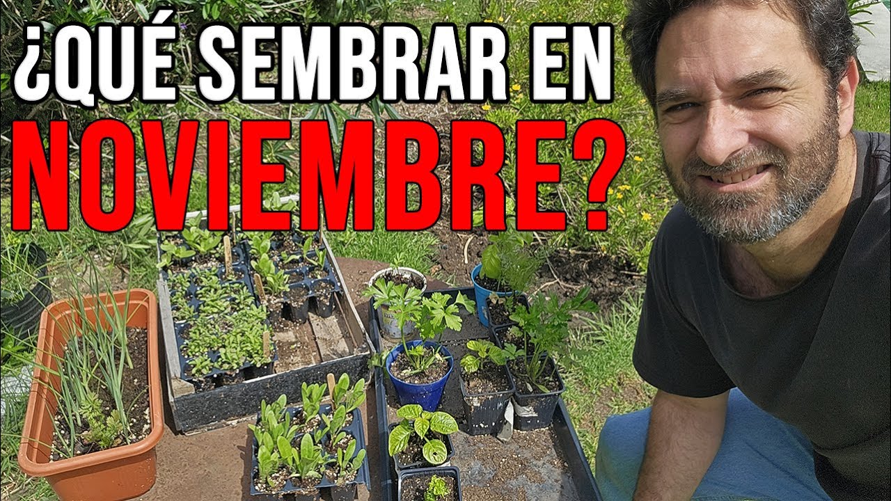 Calendario de Siembra 2025  Que sembrar en NOVIEMBRE  en el Huerto de Otoño y de Primavera