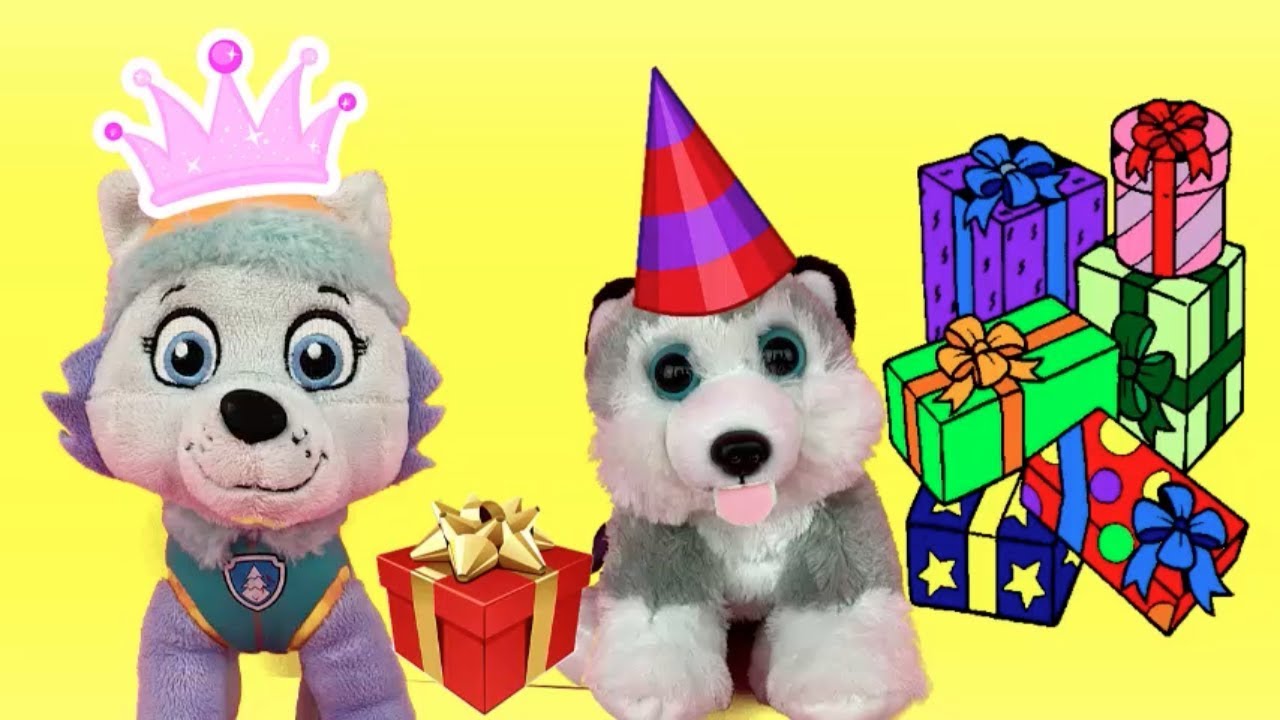 Patrulla canina español y paw patrol cachorros bebes FIESTA CUMPLEAÑOS REGALOS SORPRESA EVEREST