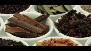 SPICE OF INDIA RESTAURANT (UAE) HD