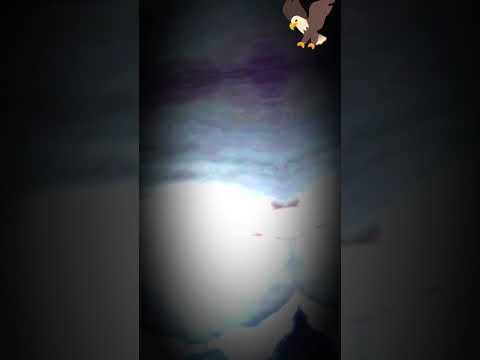 أنا طـير حـر ياخويه 