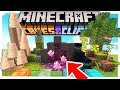 CAVES & CLIFFS UPDATE! MOD che ANTICIPA LA 1.17 - Minecraft ITA MOD
