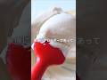 乳製品不使用！簡単豆乳クリームチーズの作り方♬ #creamcheese　 #簡単レシピ #乳製品不使用 #チーズ