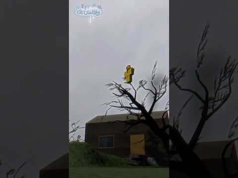 Brighteyes Vs Shedletsky Screaming Forsaken Roblox Animation Forsaken Roblox Robloxshorts 