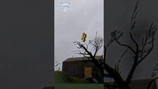 Brighteyes Vs Shedletsky Screaming Forsaken Roblox Animation