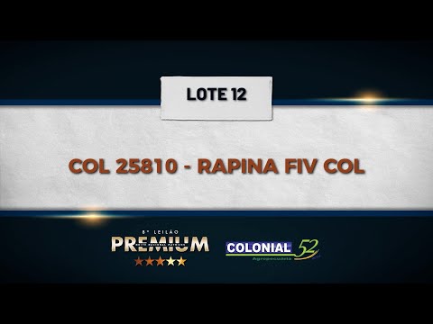 LOTE 12 COL 25810