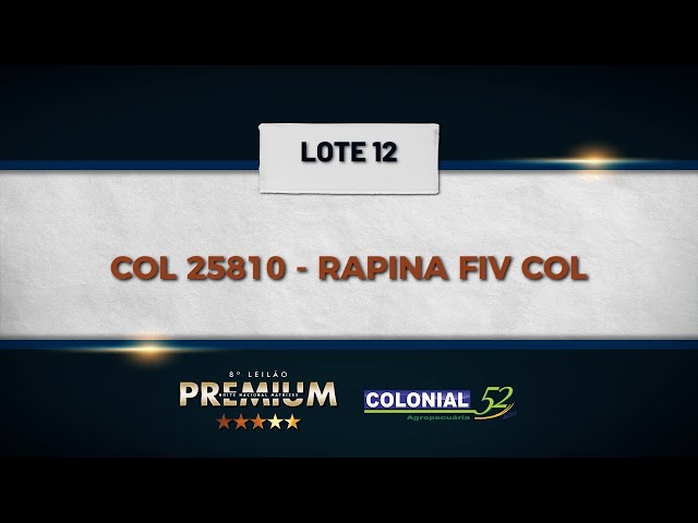 LOTE 12 COL 25810