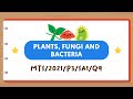 PSLE Science Made Simple: Plants, Fungi, and Bacteria