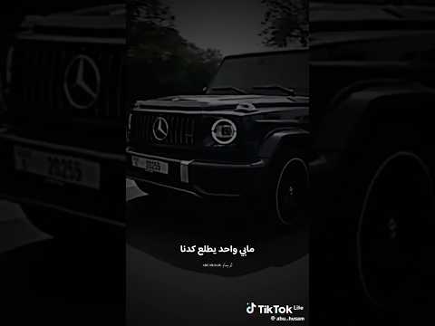 محمد الشيخ مابي واحد يطلع كدنا 