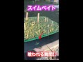 スイムベイトが喰われる!!バイトシーン丸見え映像!#Shorts