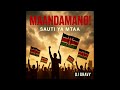 TUMEAMKA HATULALI MAANDAMANO MUSIC AUDIO FT DJ GRAVY
