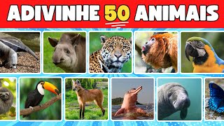 ADIVINHE O ANIMAL| Fauna Brasileira🦜 #quizdivertido13