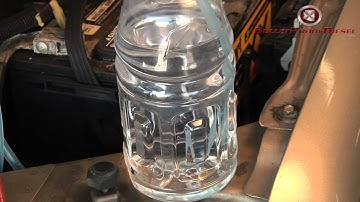 Bad EGR cooler or head gasket