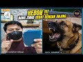 HEBOH‼️Bang ZUMA DEBAT DENGAN ANJING 