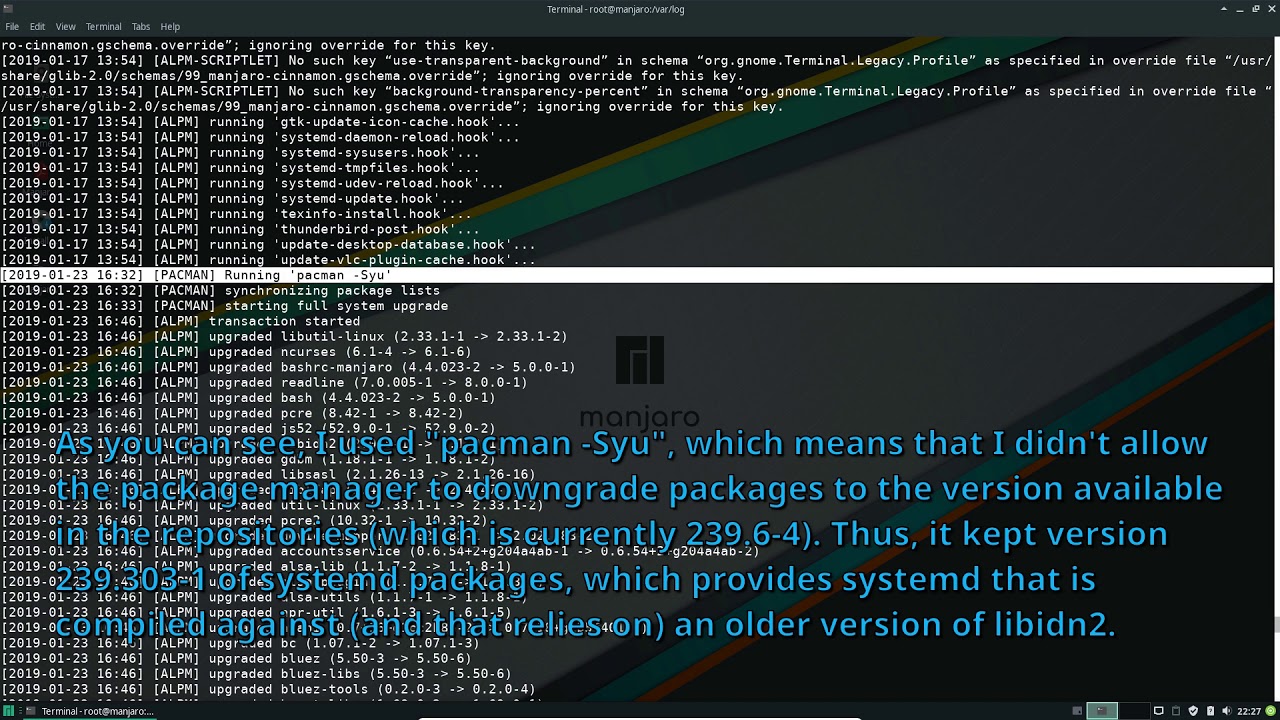 [Manjaro upgrade] Demo manjaro-chroot - Repair libidn2 error at boot (broken system)