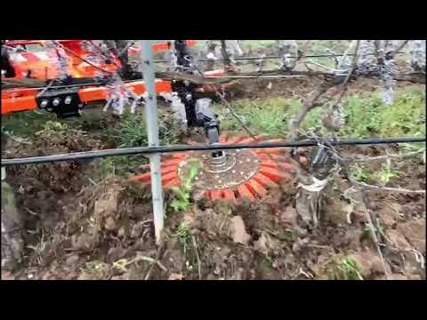 Video INTERCEPAS CORBINS KULT KRESS - youtube