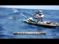 Hammerhead Shark Attacks Kayak Fisherman!!!