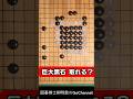 黒石を取ってみよう!#囲碁棋士柳時熏のgochannel