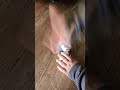 #stretchy sonic