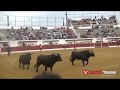 FIESTAS VIRGEN DEL CONSUELO CIEMPOZUELOS SEPTIEMBRE 2018 HD