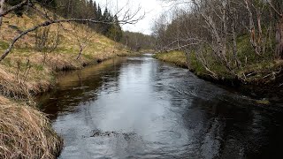 Sound recording of a river in the spring forest. 8 hours of river sounds