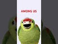 AMONG US