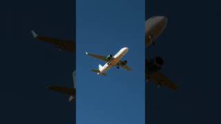 POV Taking Photos | Frontier A320 | DEN