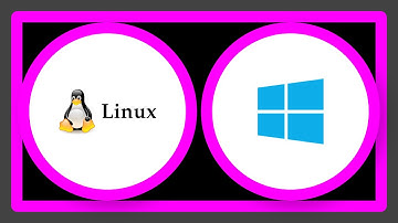 What are the differences between Linux and Windows .txt files (Unicode encoding)?