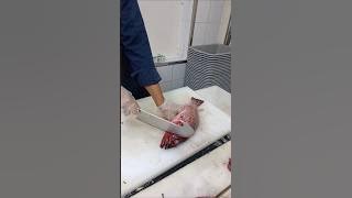 fish cutting #shortvideo #ikangoreng #skills #cuttingskills