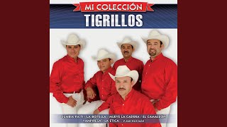 Video thumbnail of "Los Tigrillos - El Camaleón"