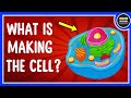 Introduction to Cells and Biology Quiz