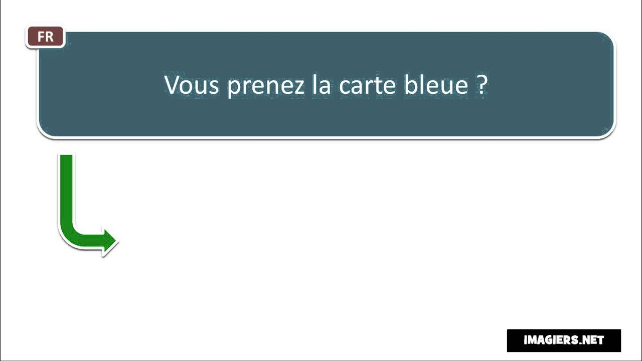 French pronunciation # Vous prenez la carte bleue language translator