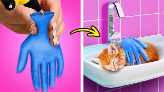 Pet Gadgets and Hacks for Saving Time and Money