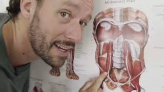 Biggest LIE About Lower Back Pain Relief
