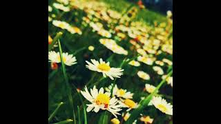 Doğa Fotoğrafları