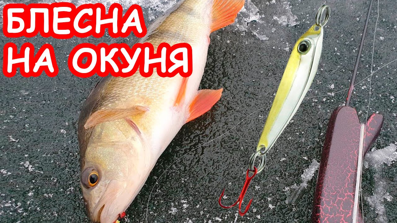 зимняя рыбалка на блесны видео
