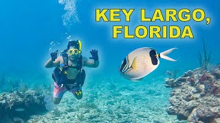 Key Largo Scuba Diving at Mike's Wreck Dive Site | Scuba Diving in Key Largo Florida Keys