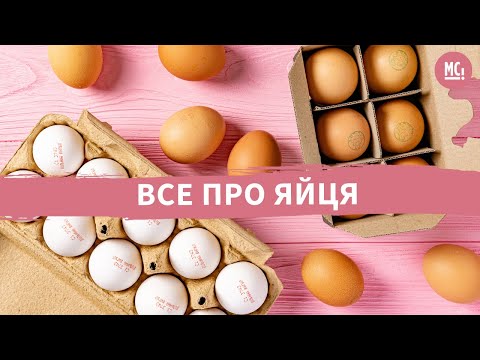 ВСЕ ПРО ЯЙЦЯ | цікаві факти і міфи | ВСЕ ПРО ЯЙЦА | интересные факты и мифы