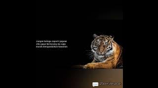 Kata kata bijak Harimau versi lagu uw