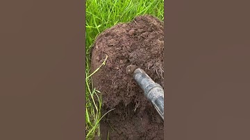 Minelab Manticore 2D Screen & Tone for A Ring Pull | Metal Detecting