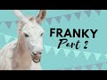 Franky's introduction to our fields, part 2 - Easy Horse Care Rescue Centre