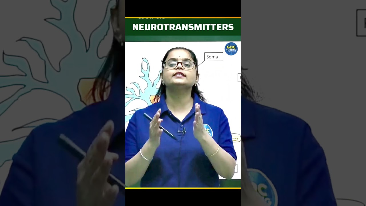Important Neurotransmitters and Their Functions