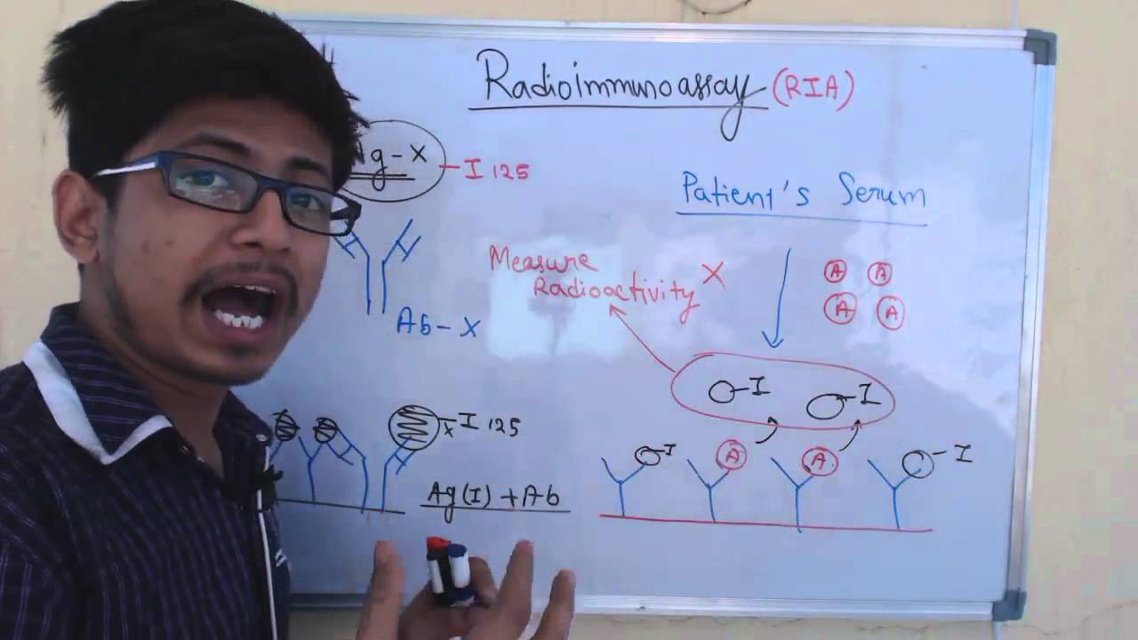 Radioimmunoassay Technique RIA YouTube