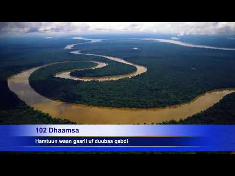 102 Dhaamsa Wanni Hamtuun Waan Gaarii Duubaa Qabdi 