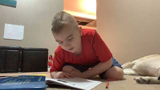 Critical Thinking work for Elementary: ABC Data Collection