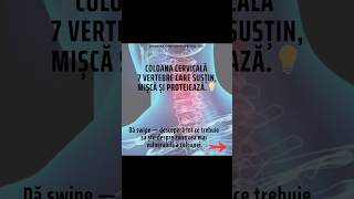 Coloana cervicală -detalii și payologii #strongbalance #miscareconstienta #kinetoterapie