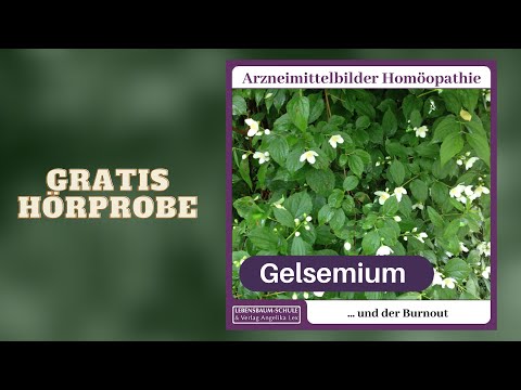 Video: Gelsemium - Användbara Egenskaper Och Applicering Av Gelsemium