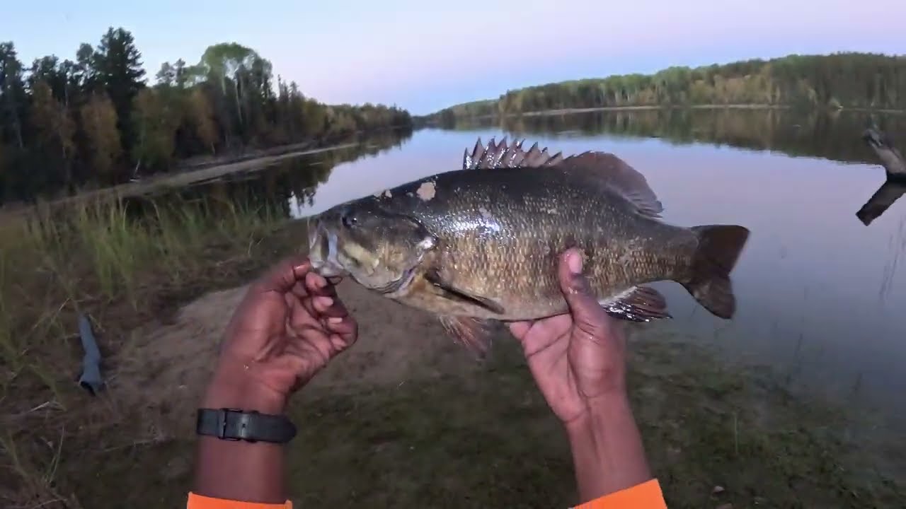 Bank Bass Fishing lure for October #bass