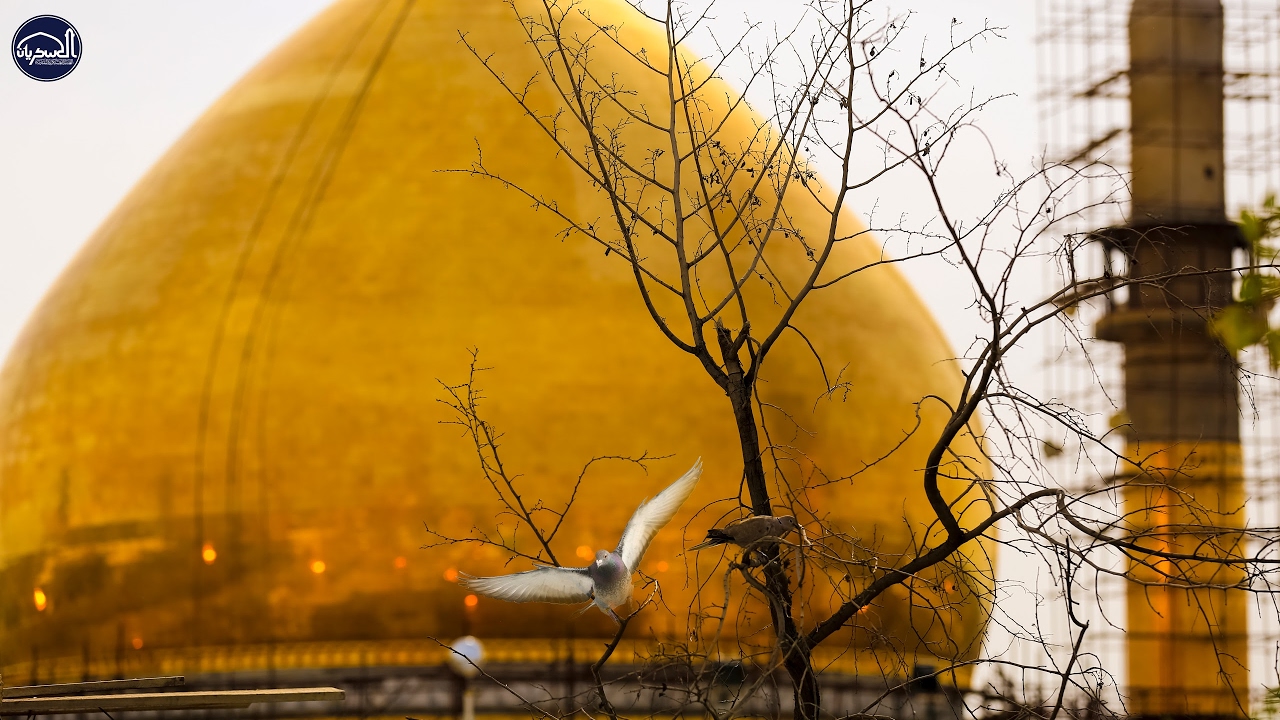 بث مباشر بواسطة العتبة العسكرية المقدسة