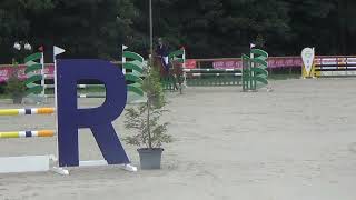 LILLY LOVELY DU CAILLOU (KANNAN x DOLLAR DU MURIER) 7 years old mare